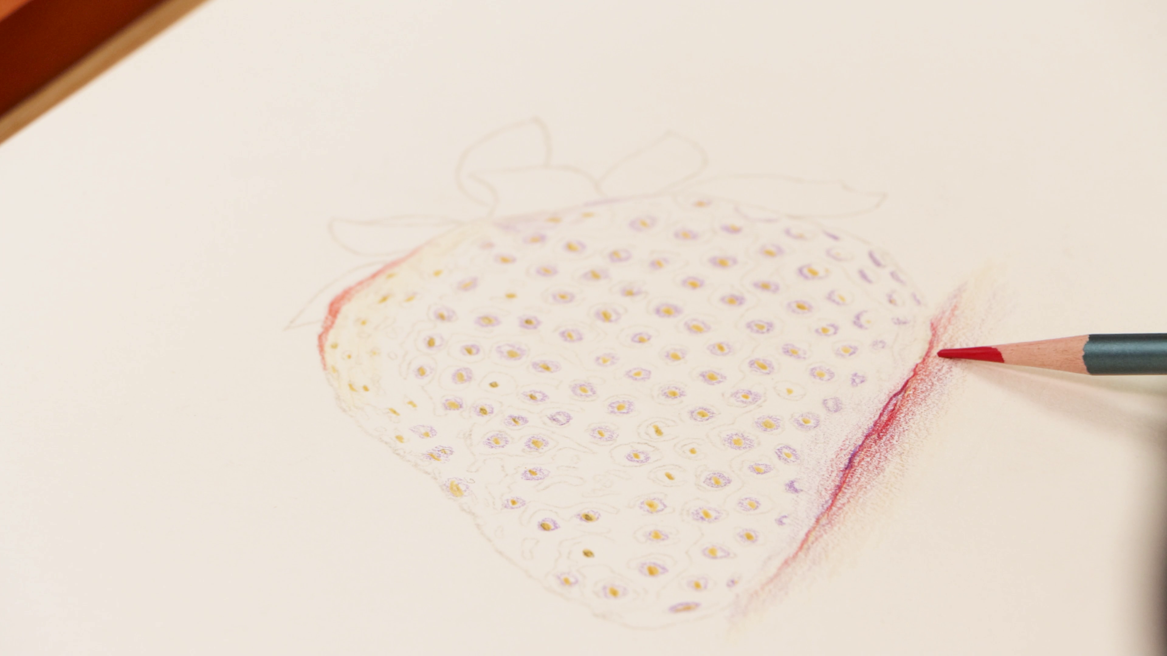 Strawberry sketch with yellow seeds and blue shadows