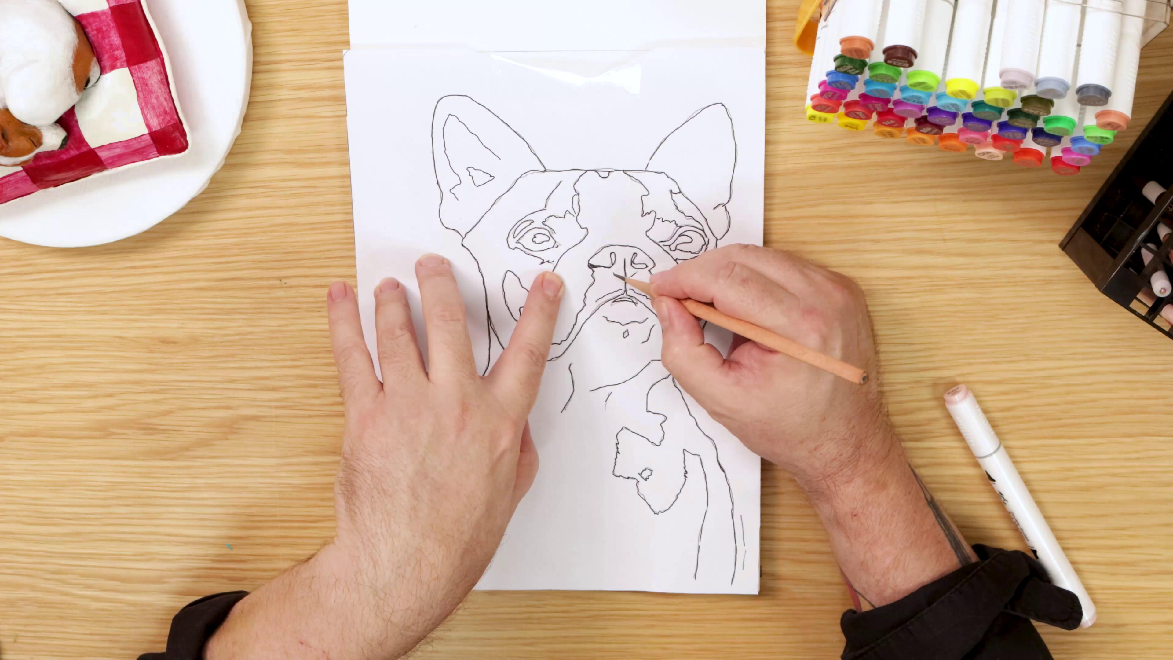 Outline of french bulldog being transferred