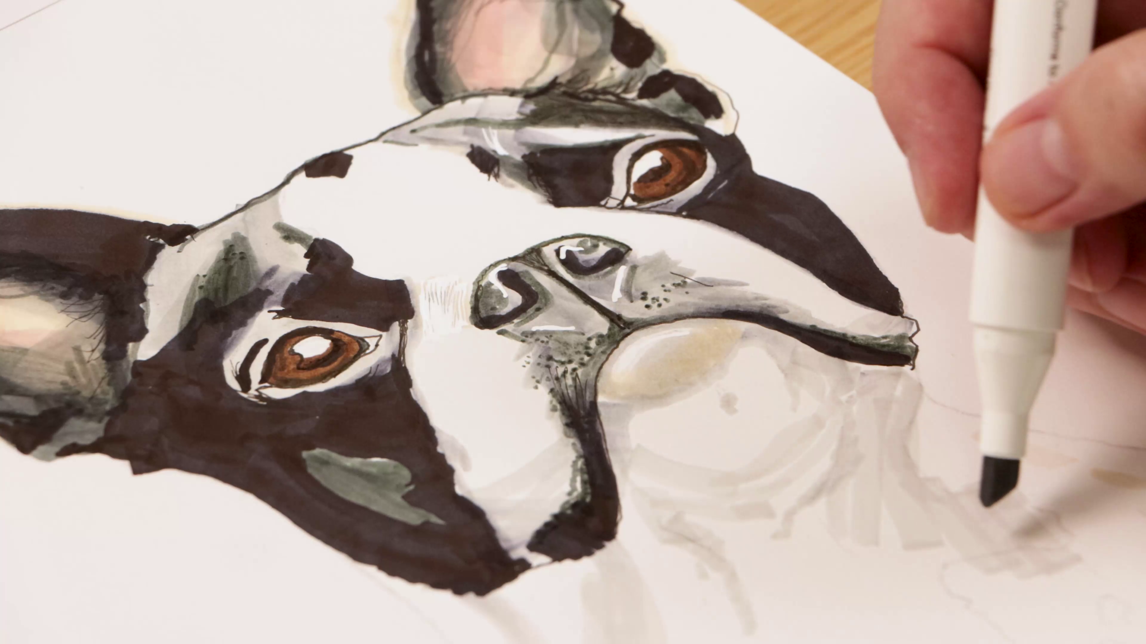 Light grey maker adding shape to white dog fur