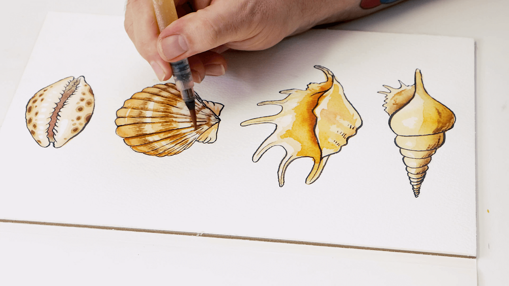 Hand holding a watercolour brush adding final details to the second seashell.
