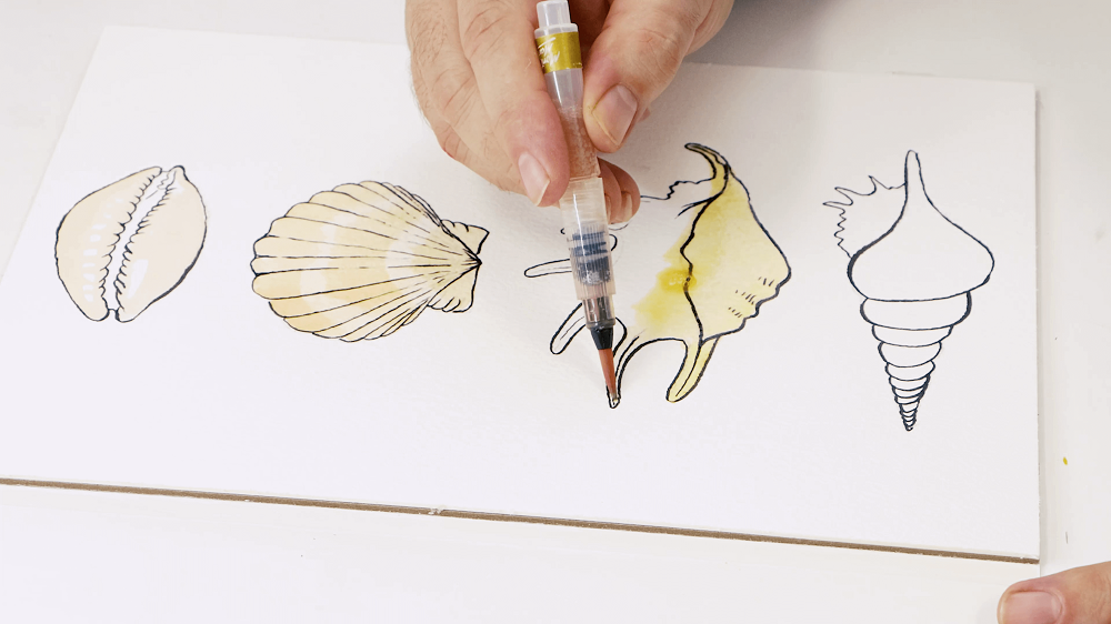 A hand holding a water brush painting the third seashell with a gamboge colour.