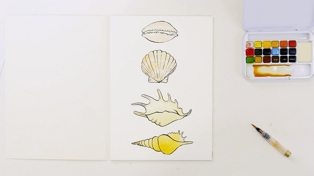 A watercolour palette next to four painted seashells, the bottom shell painted with Gamboge and the remaining with brown shadows.