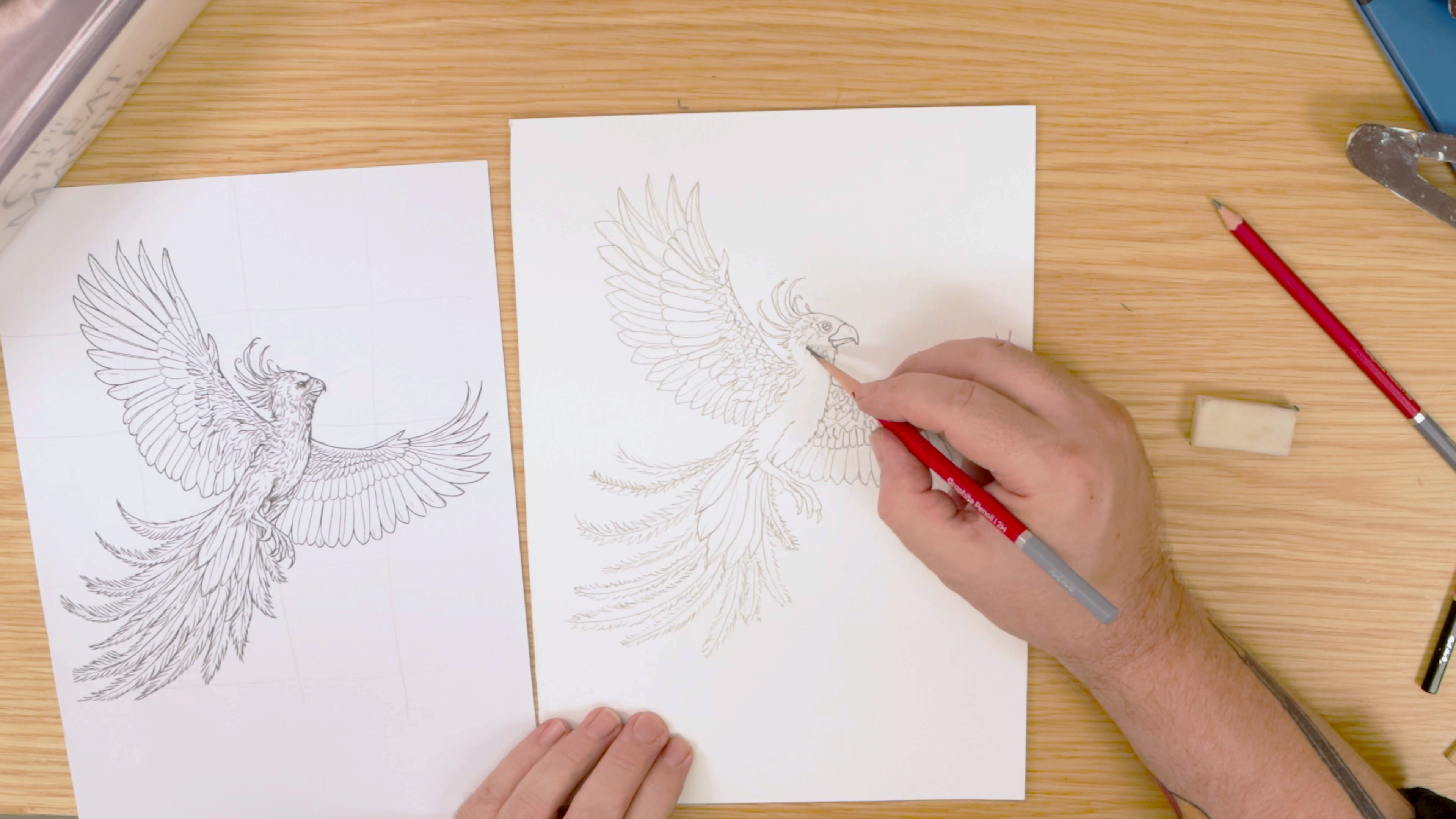 Drawing wings on pencil sketch of phoenix