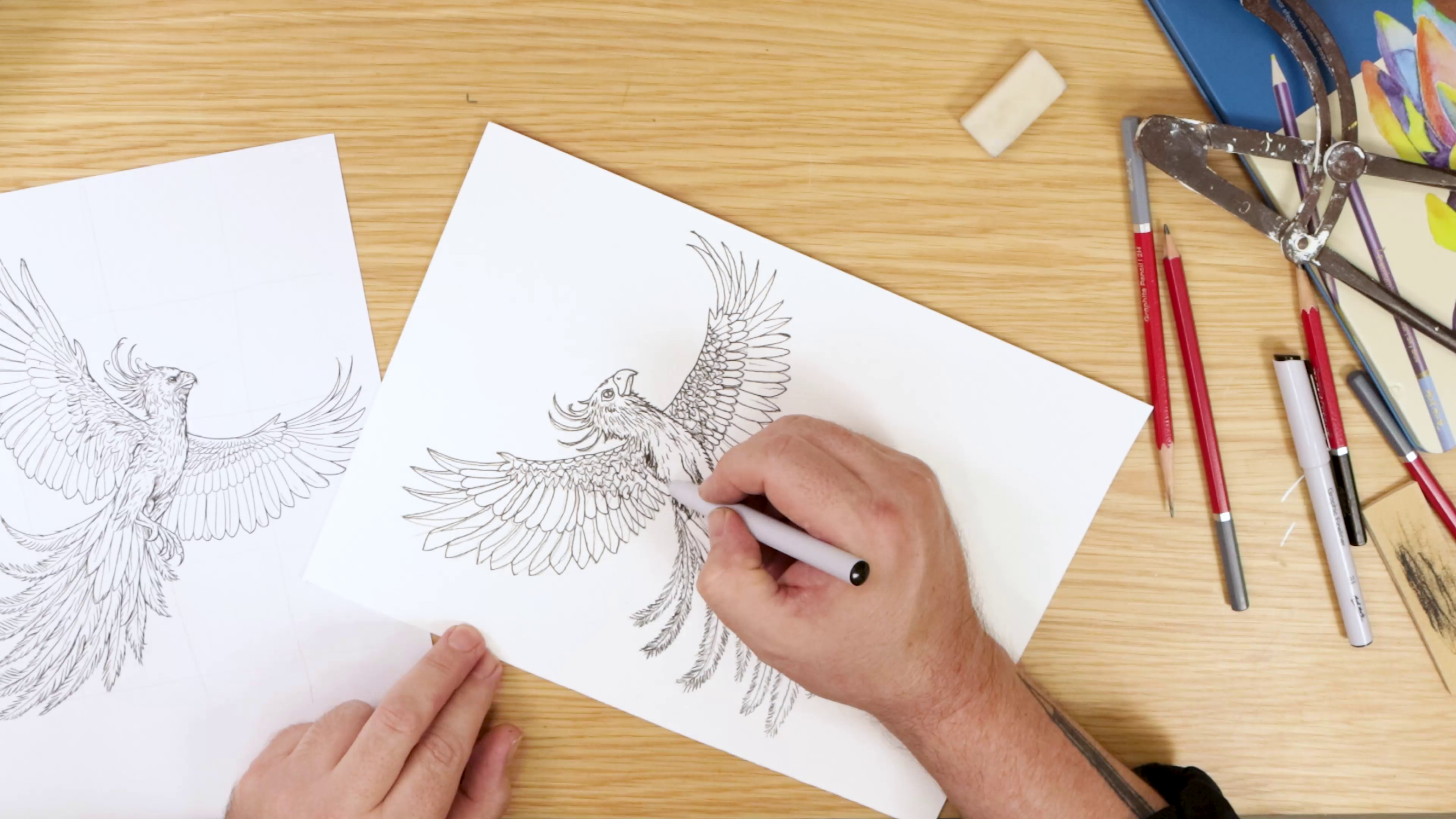 Inking phoenix drawing outline with pen