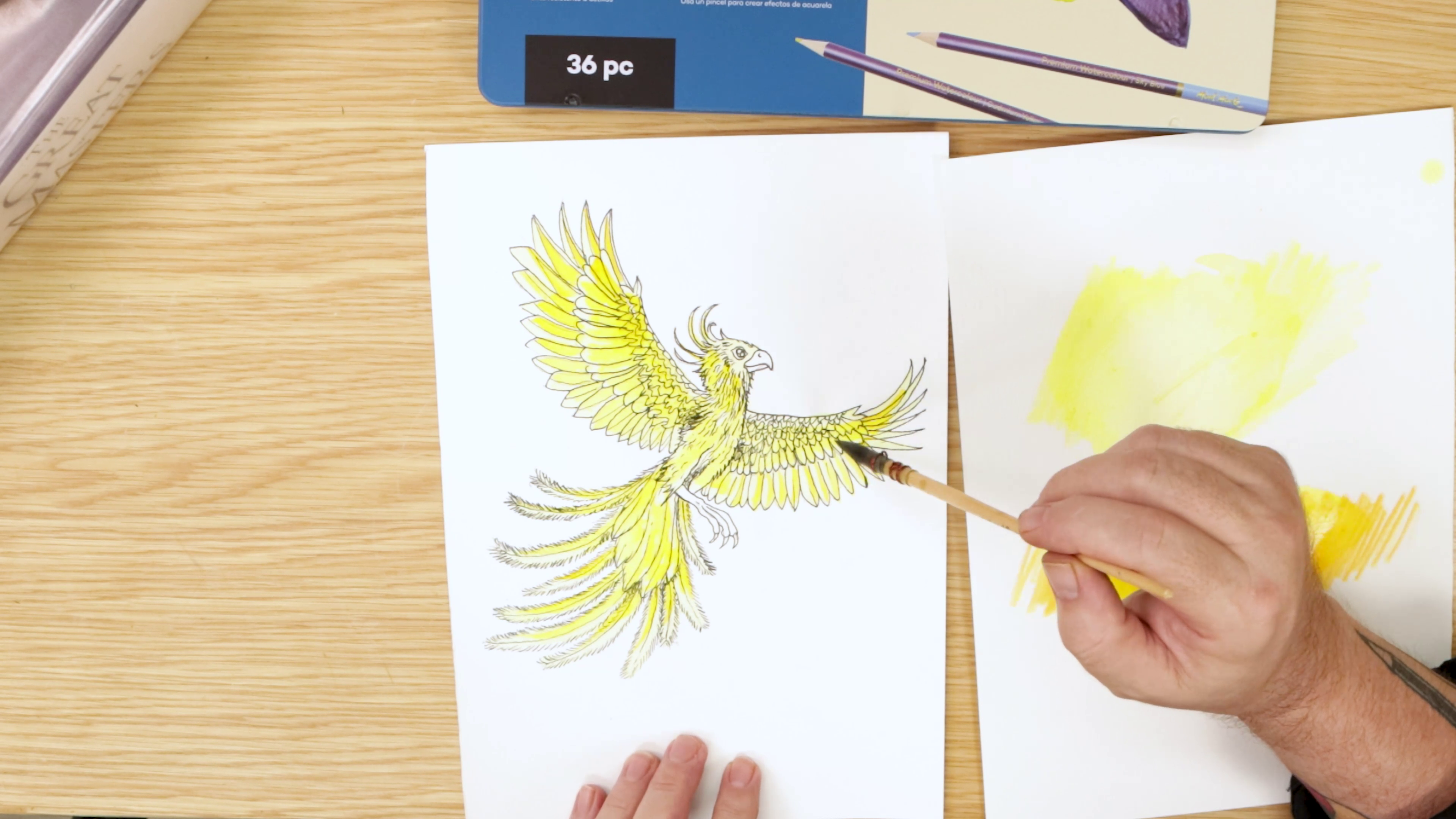 Yellow watercolour wash on phoneix ink drawing