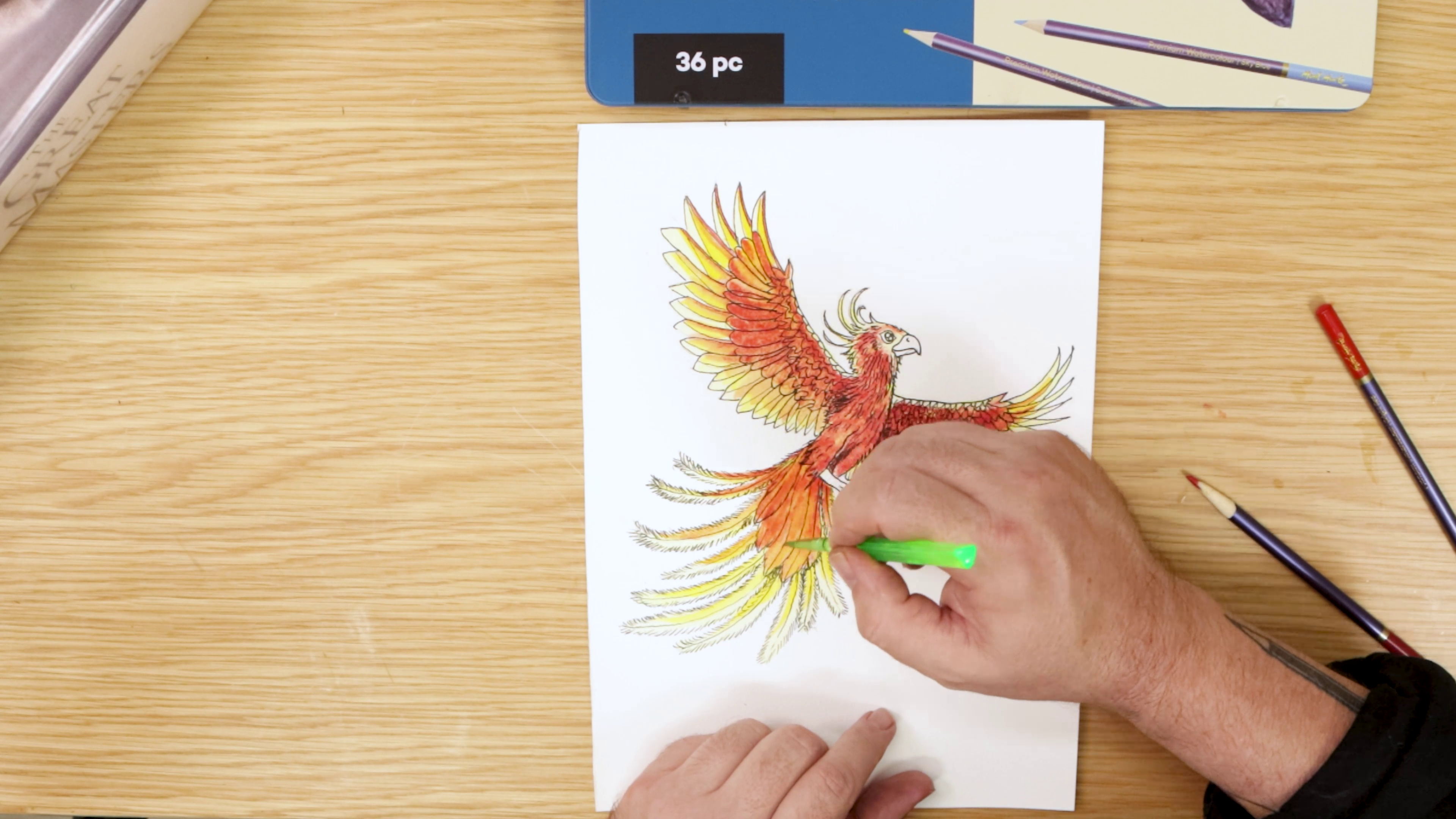 Adding red watercolour to phoenix drawing