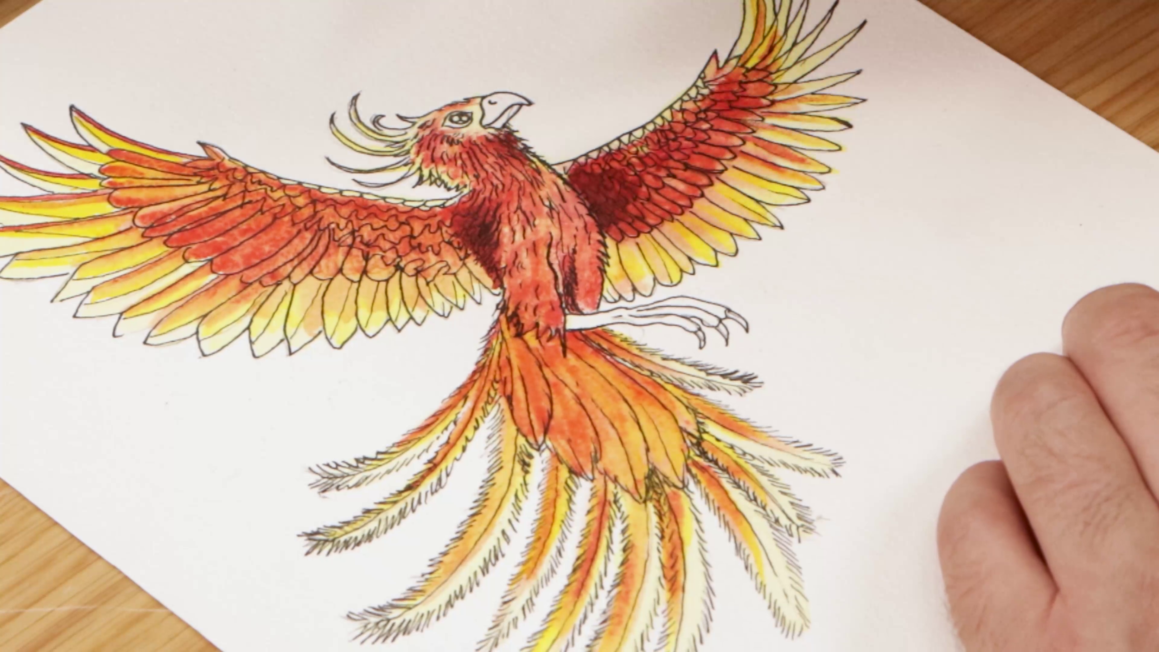 Adding darker red to drawing of phoenix feathers
