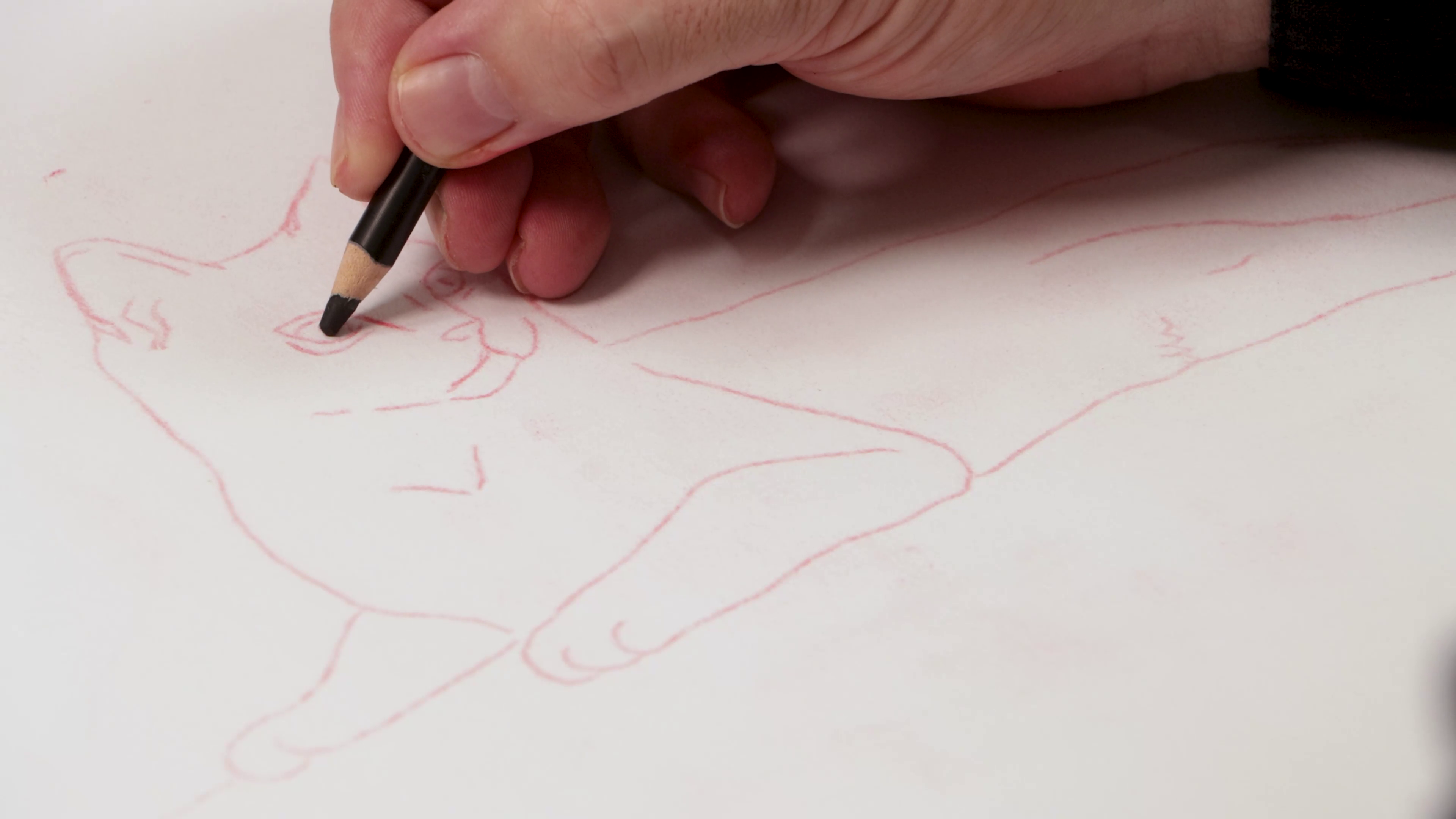 Drawing outline of cat in red pencil