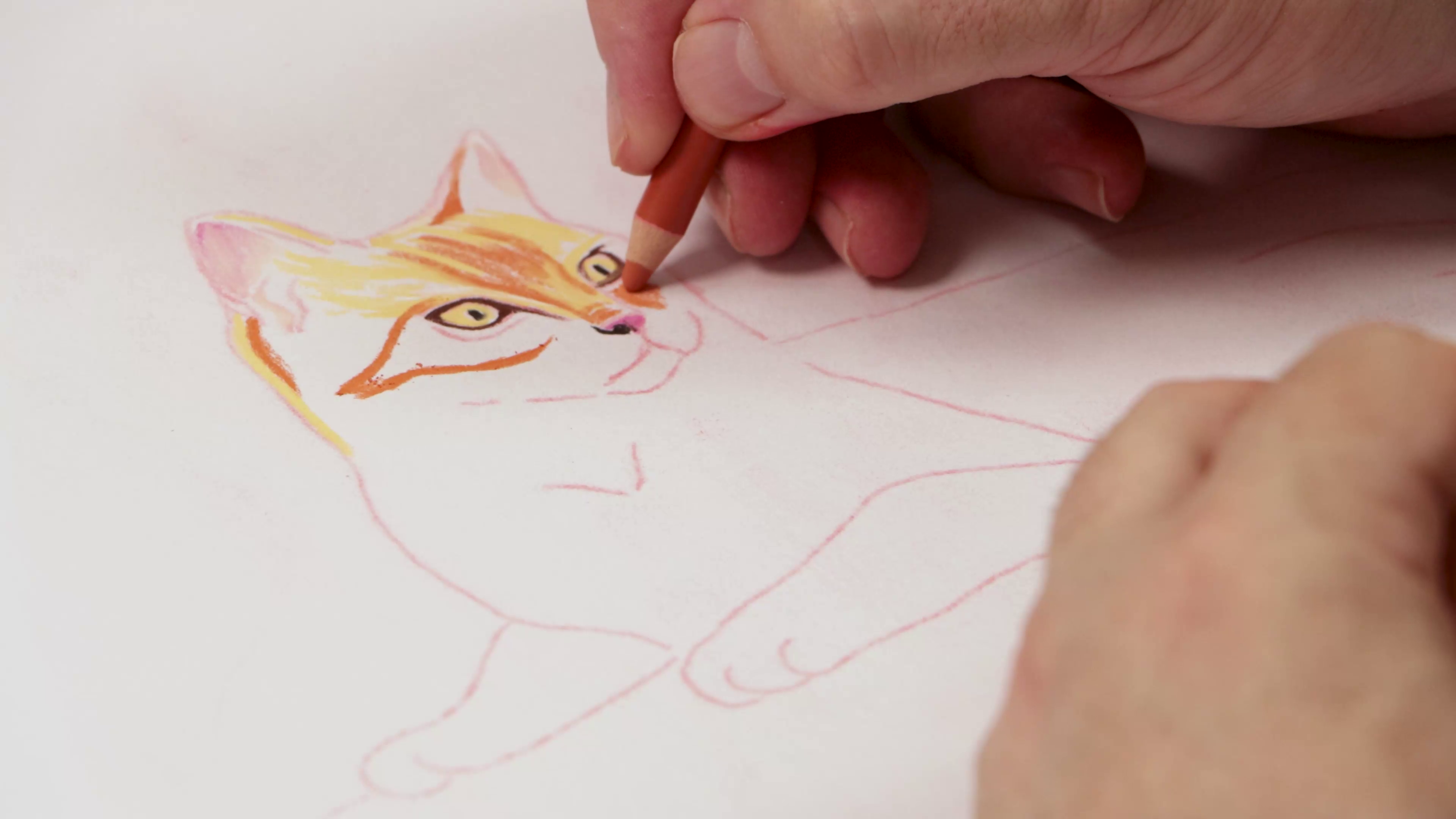 Pencilling in face details on orange cat sketch