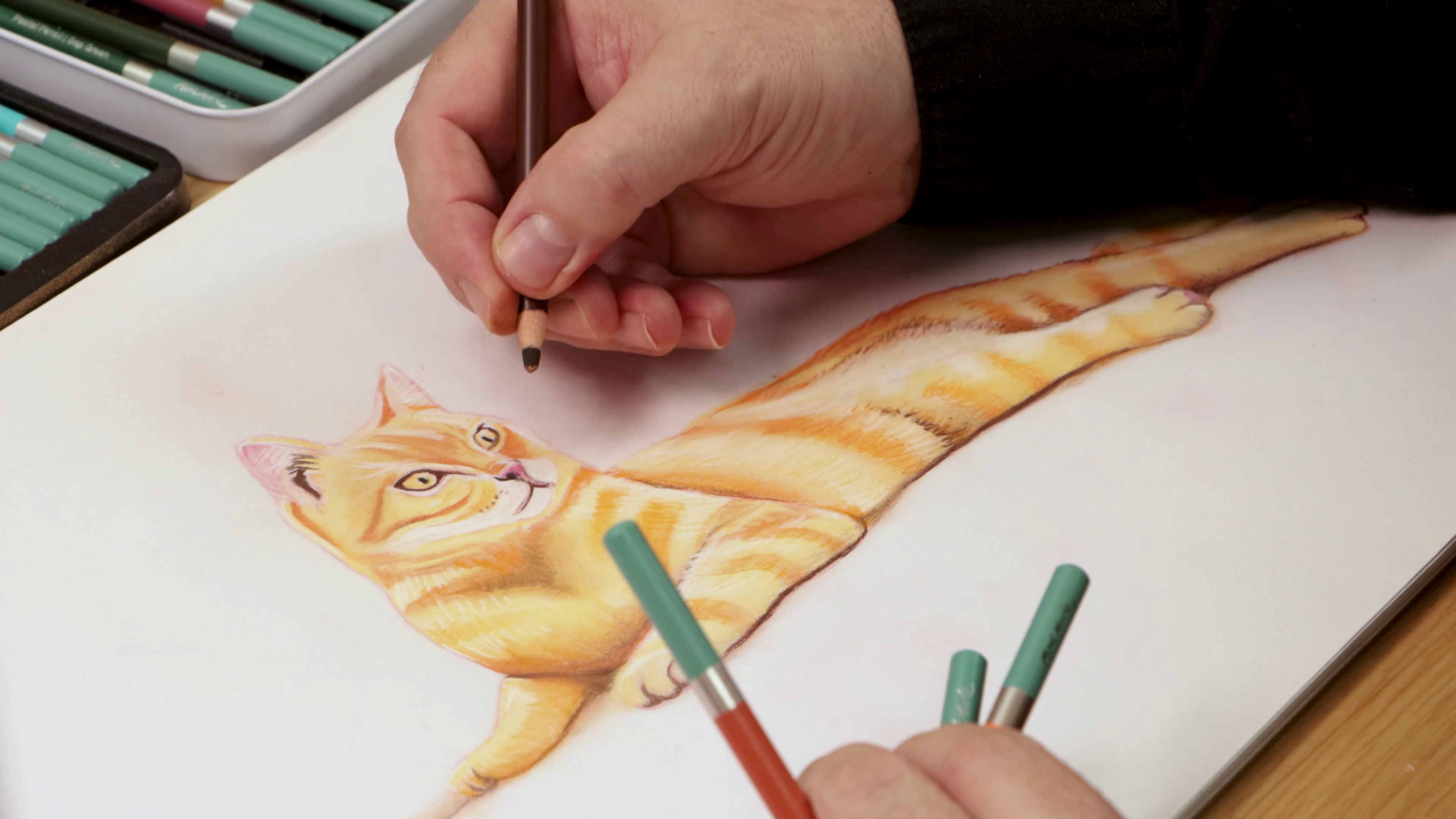 Adding final details to orange cat face sketch