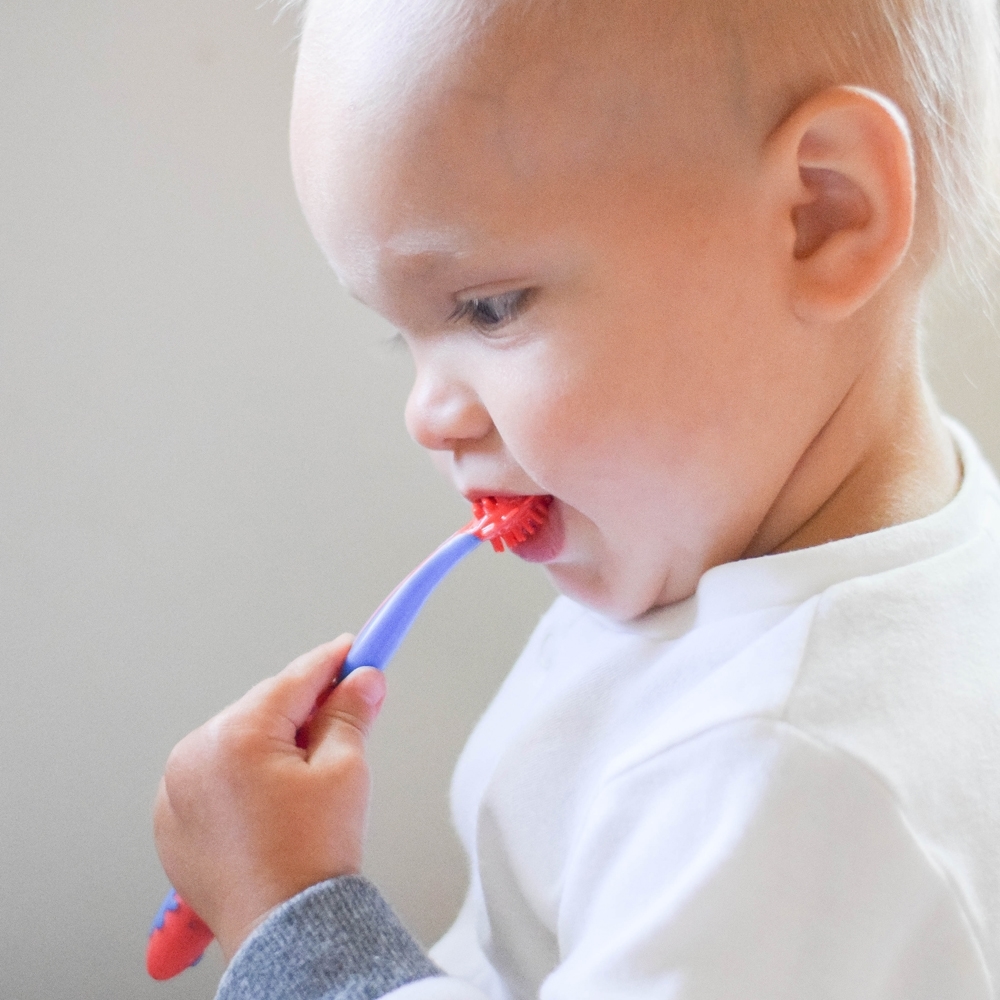 Toddler learning to brush teeth