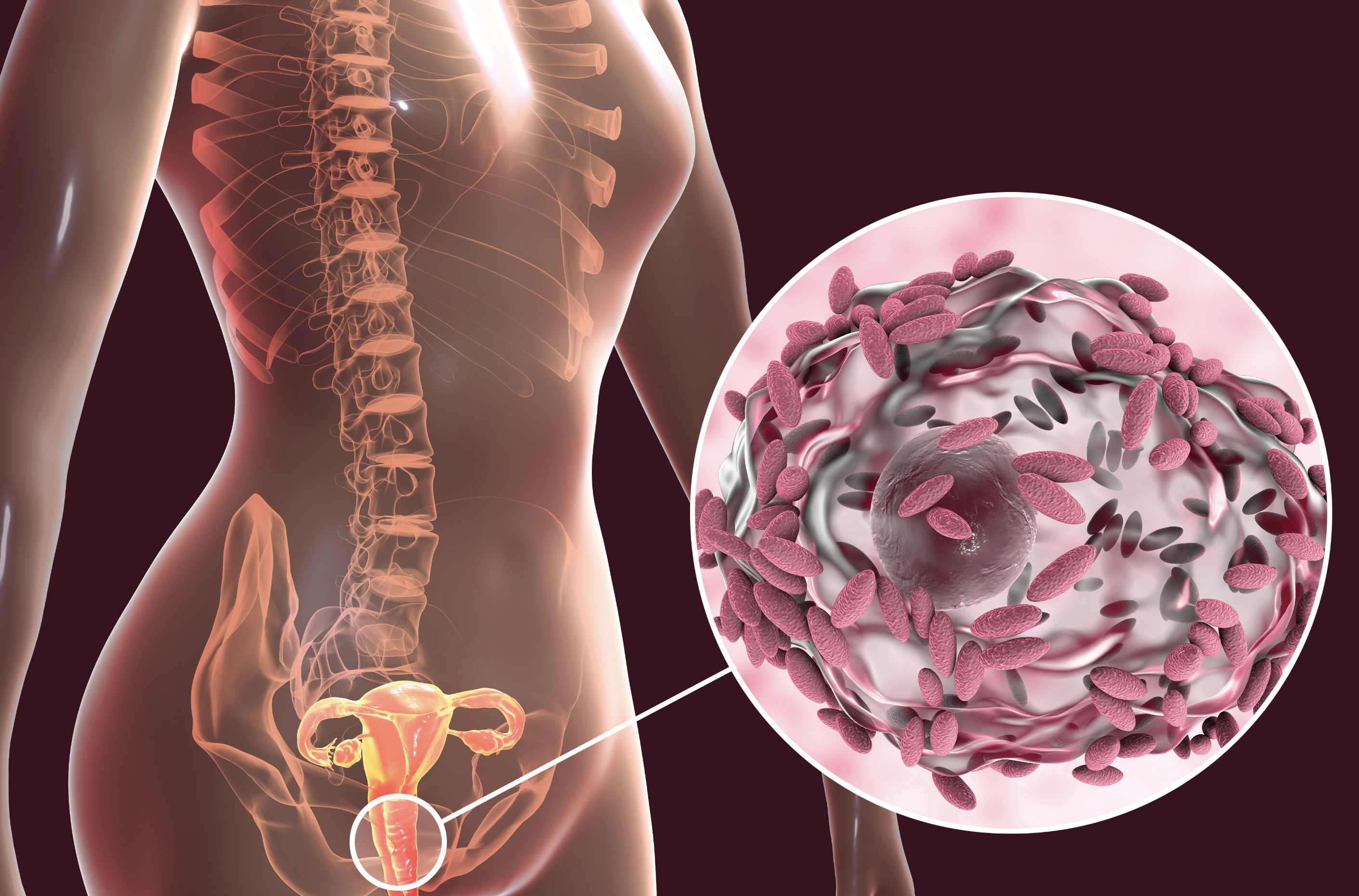#16 of rajce vagina Vše o vaginální mikroflóře (+ jak co nejúčinněji předcházet intimním z rajce vagina Vše o vaginální mikroflóře (+ jak co nejúčinněji předcházet intimním z
