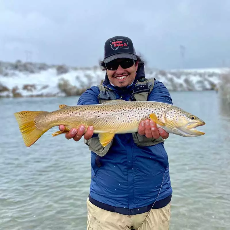 Fly Fishing for Brown Trout