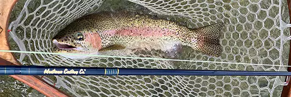 Warm Springs Fly Fishing Rod with Trout in Net