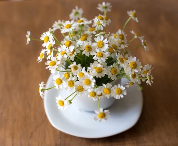 chamomile tea for hangover