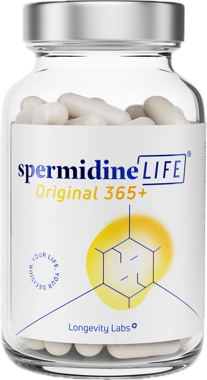 spermidinelife