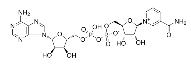 NAD+