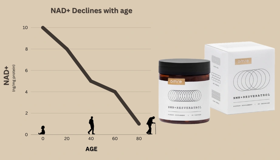 NAD+ decline as we age