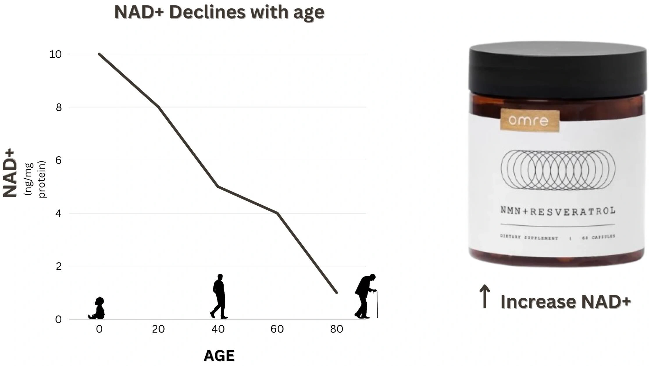 NAD+ levels as we age