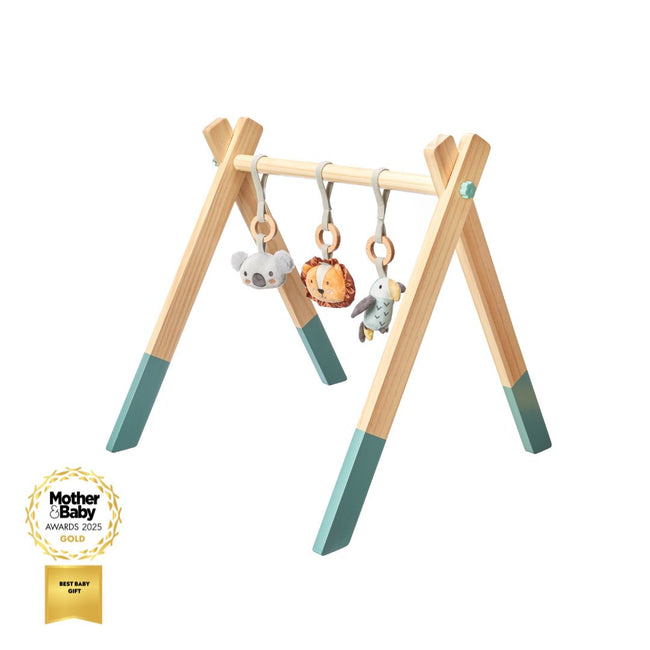 Animal Adventures Wooden Play Gym