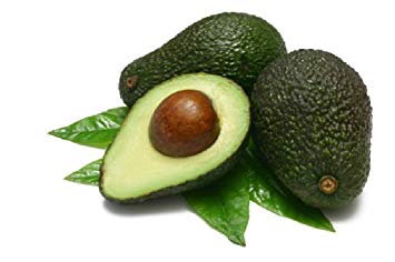 Image result for Persea Gratissima (Avocado) Oil,