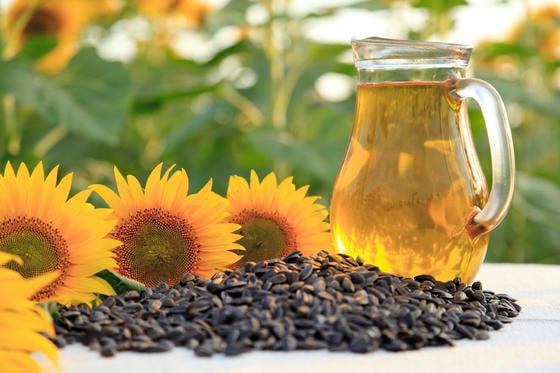 Image result for helianthus annuus (sunflower) seed oil