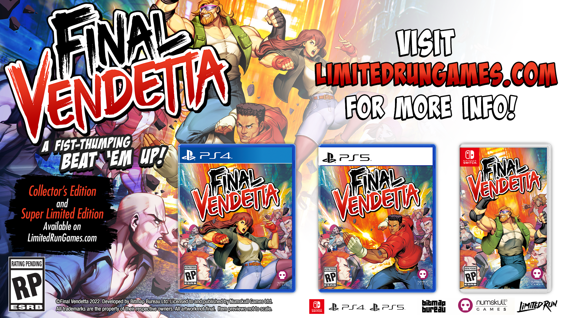 Buy PlayStation 4 Final Vendetta