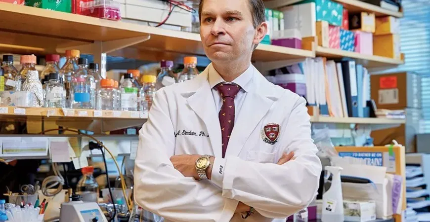 Who Is David Sinclair