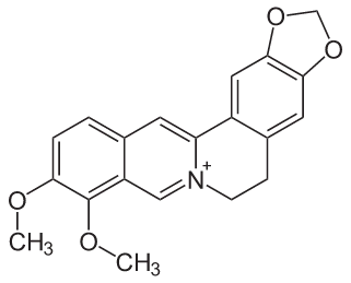 benefits of taking berberine