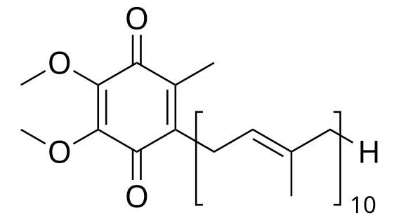 quercetin vs coq10