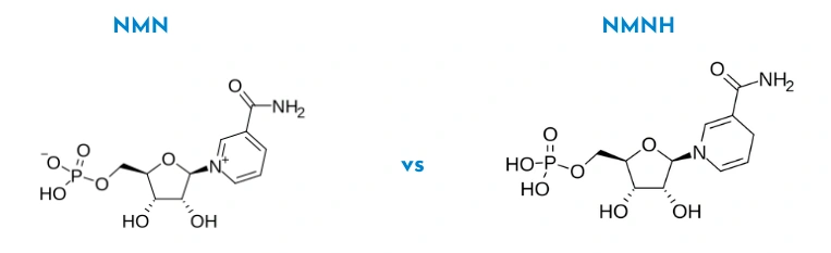 nmn vs nmnh