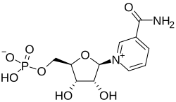nmn and resveratrol