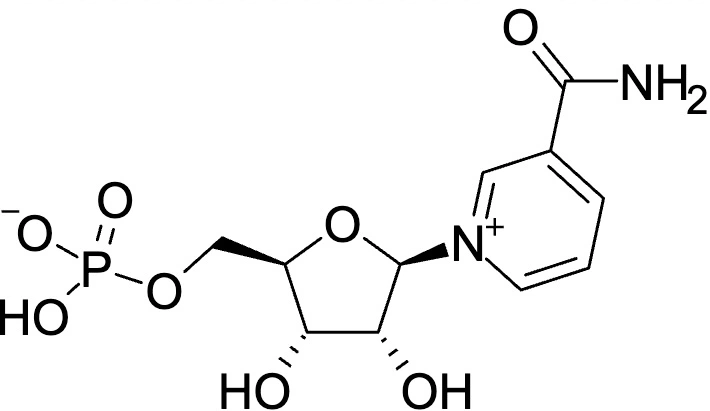 NMN and Its Benefits