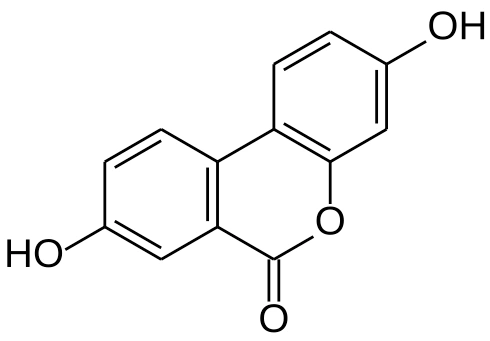  best time to take urolithin a