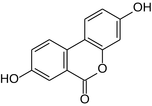 liposomal urolithin a