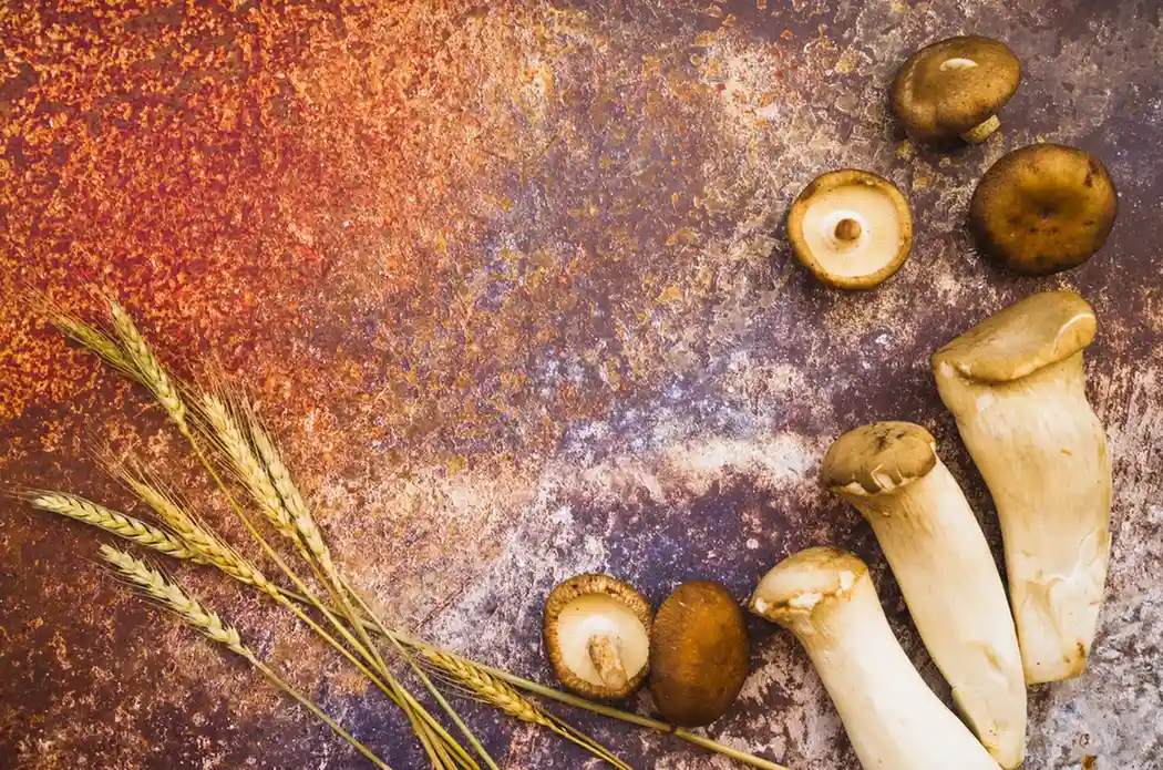 Natural Food Sources of Spermidine
