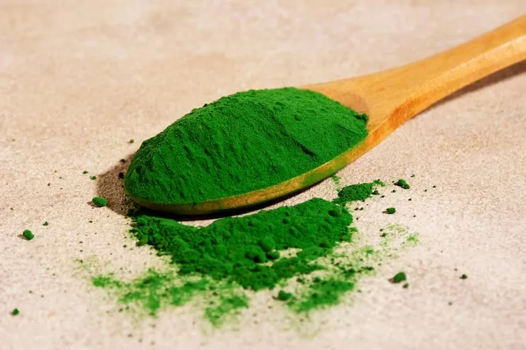 Joe Rogan's Gut Health and Green powders