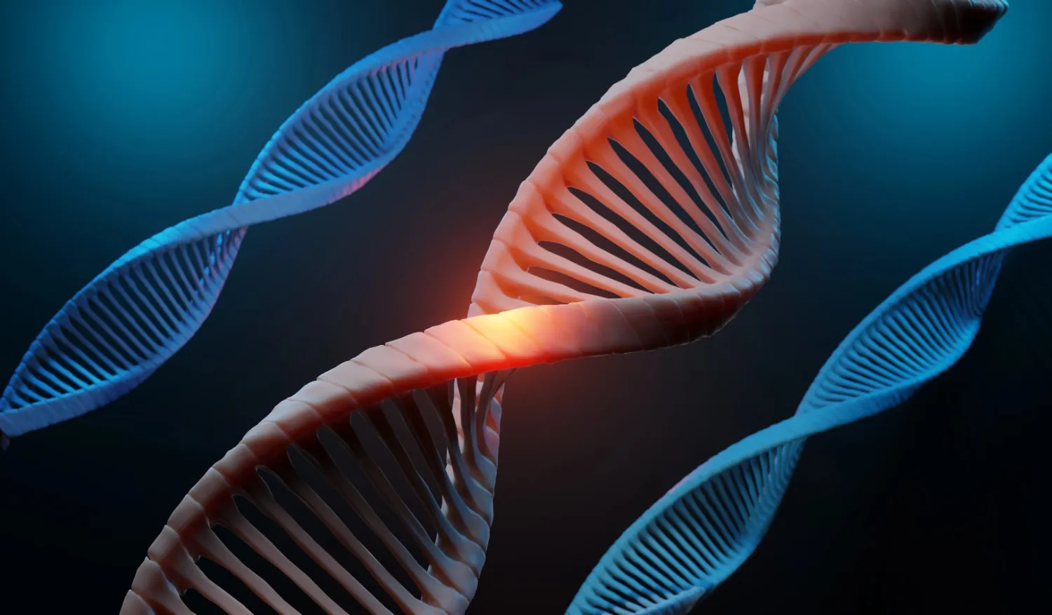 why NAD levels matter?