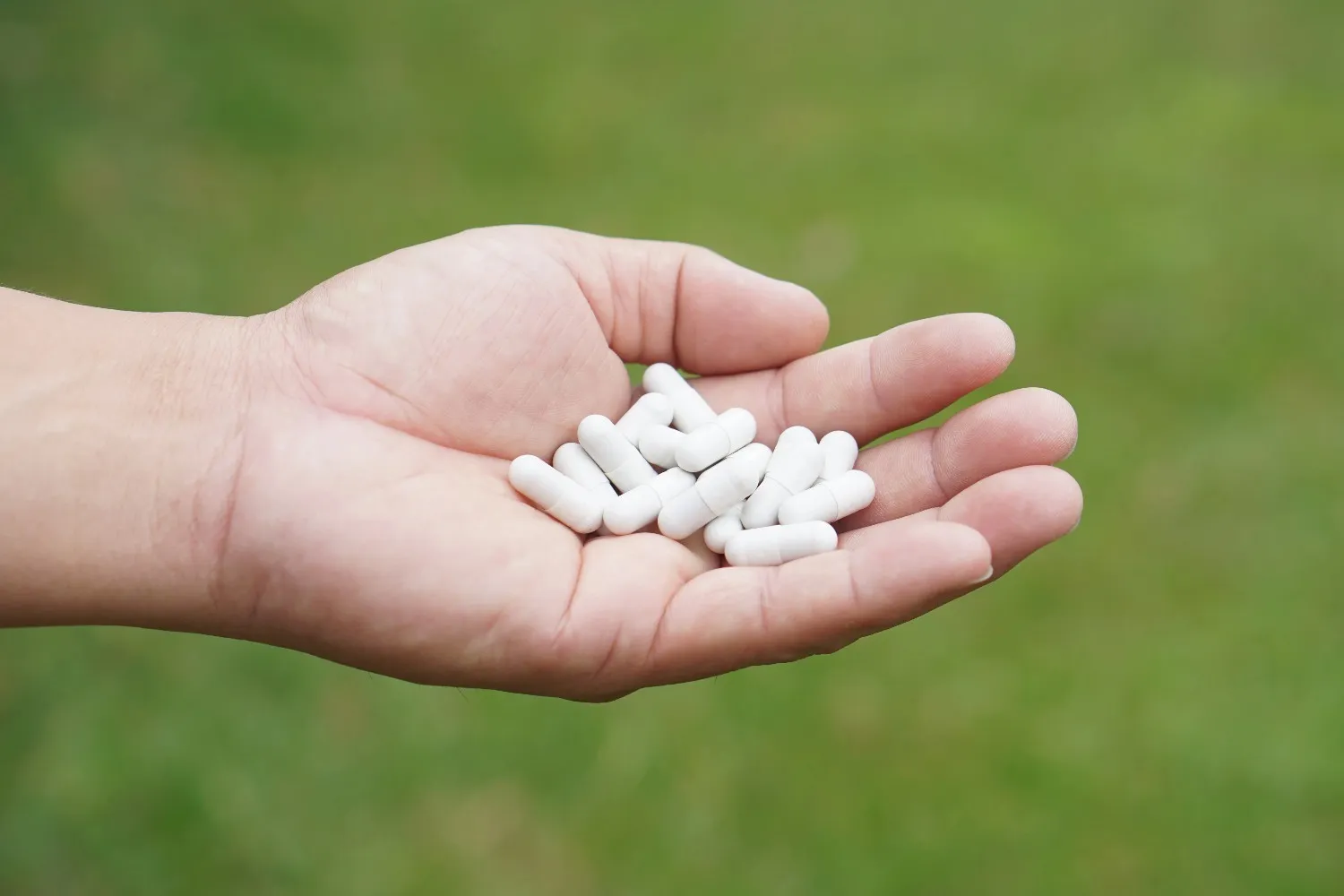 Maximum Studied NMN Dose