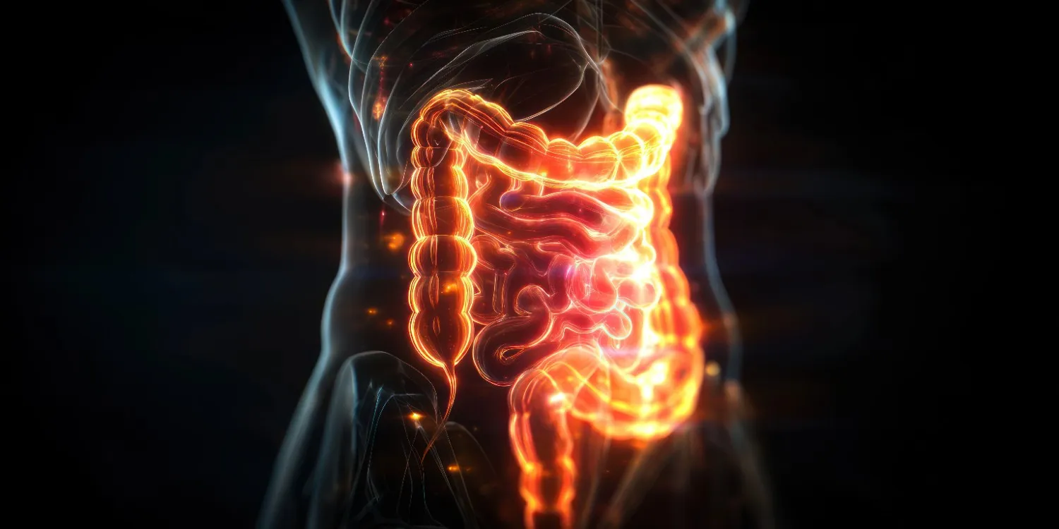 Why does berberine cause diarrhea