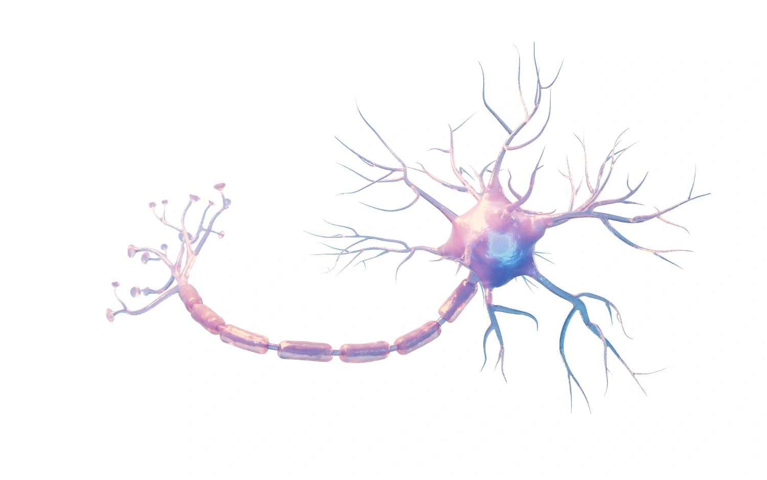 which vitamin b is best for nerve repair