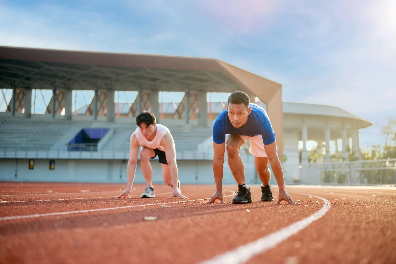 Potential Urolithin A Benefits