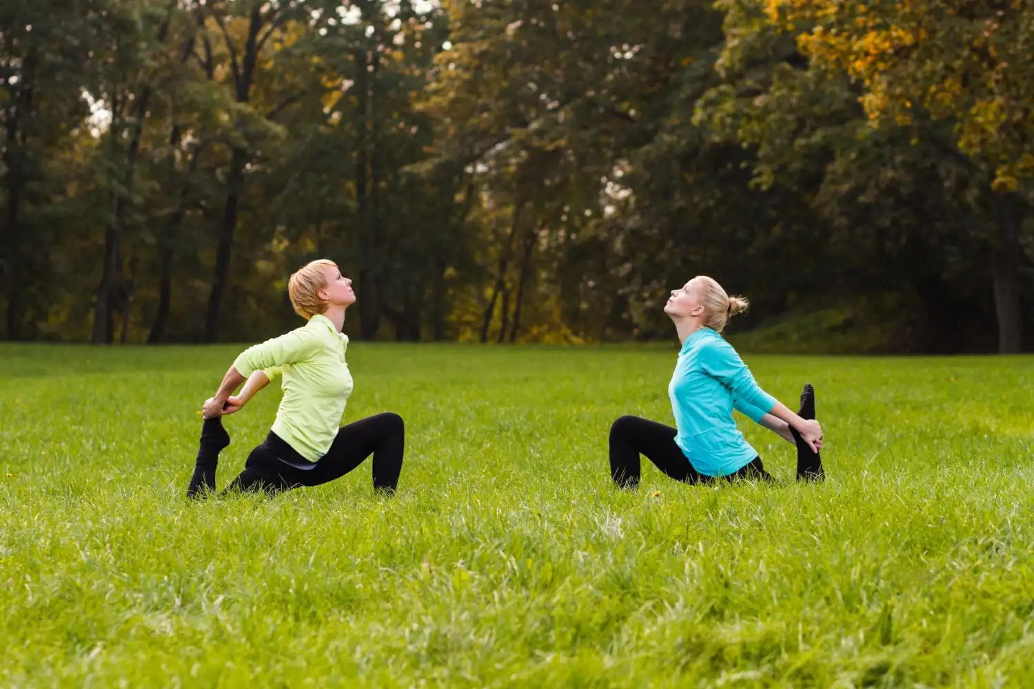 Resveratrol for healthy aging